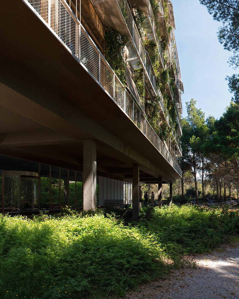 B&TB_HDR_MaxPlankInstitut_ForestSon_web