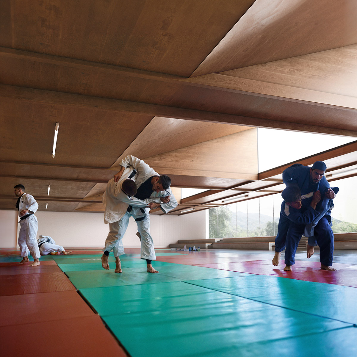 B&TB_V2S_Dojo_Judo_web